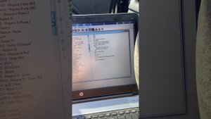 Renolink 1.99 not working