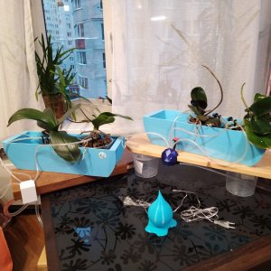 Автополив орхидей