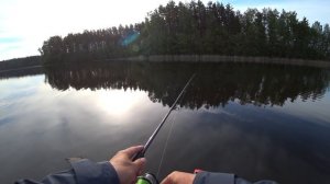 Рыбалка на спиннинг в Псковской области. На озере