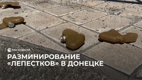 Разминирование "Лепестков" в Донецке