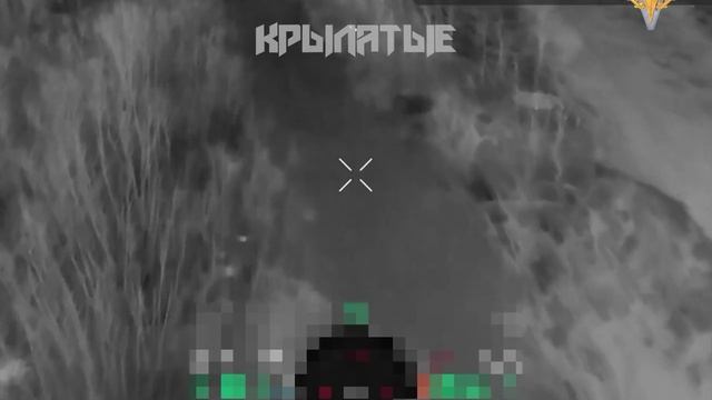 буквы которые обозначают звук й. в каких случаях гласные обозначают 2 звука. слова с едированными гласных. п где е. правильное написание слова шепот.