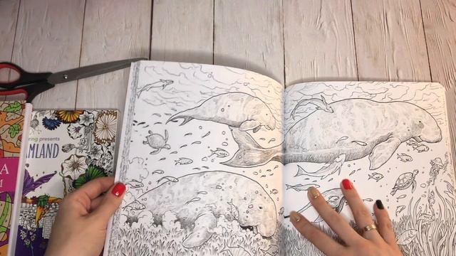 Раскраски с book24.ru и logobook.ru. Неожиданный подарок в заказе с сайта eksmo.ru смотреть онлайн