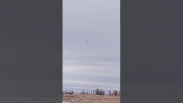 4 февраля 2024 г. (1).mp4 смотреть онлайн