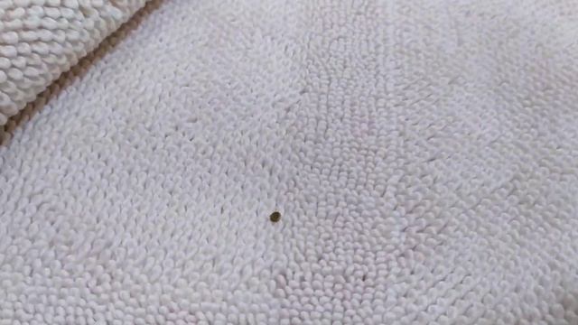 Пудровый цвет, коврик полотенце для ног, Турция смотреть онлайн