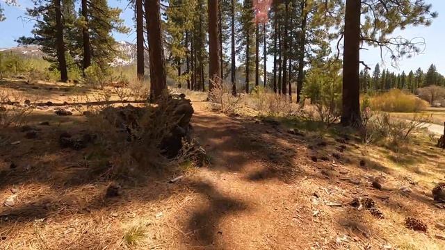 Lake Tahoe Beaches | Hike to Nevada Beach Lake Tahoe | Best Beach in Lake Tahoe смотреть онлайн