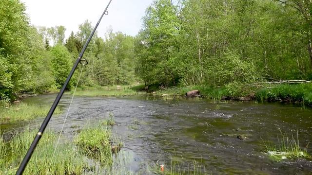 ОТКРЫТИЕ СЕЗОНА 2023 по голавлю, дарю приманку подписчику! ? смотреть онлайн