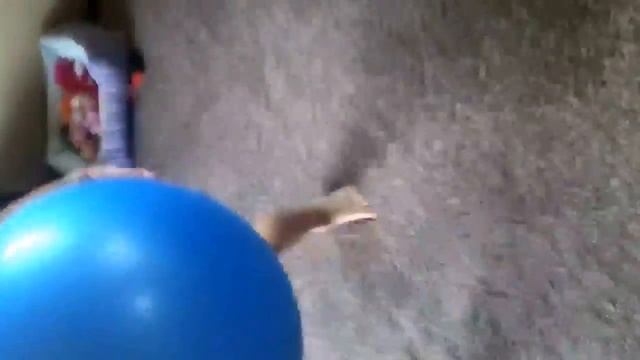 Booty Bounce: Yoga Ball