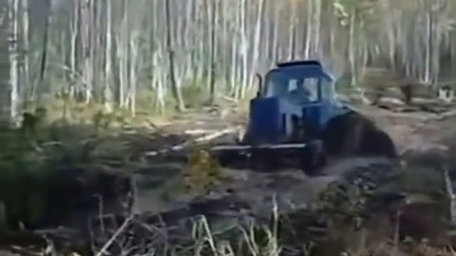 Свежий юмор смотреть онлайн