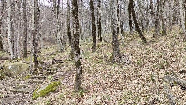 #пхова #переноссознания #жизньпослесмерти Волхв Святослав о теле света и жизни после смерти