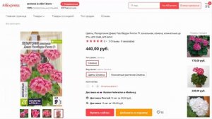 Цветы, Пеларгония Дивас Распберри Риппл F1 зональная, семена