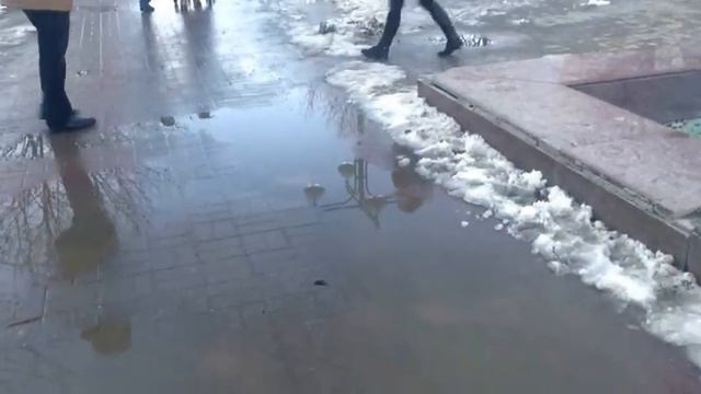Переезд в Краснодар. Юбилейный мкр. Бульвар платановый.