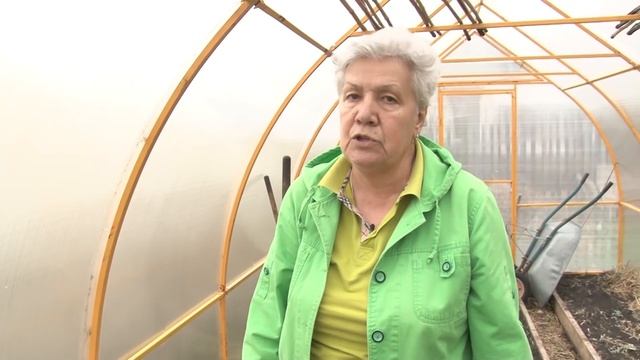 Голова садовая - Посадка огурцов в стакан или сразу в землю