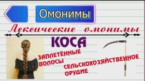 Омонимы.mp4