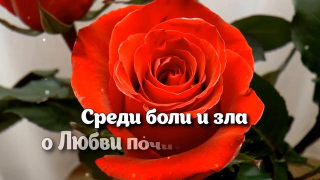 С Днем всех влюбленных! Берегите любовь!