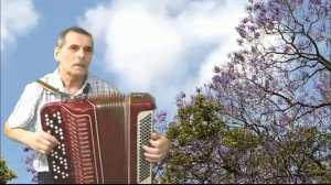 Соловушка тихо рыдал. Дворовая песня на баяне.