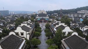 Царство грибов: Паутина жизни Fungi: The Web of Life / 2Fungi The Web of Life (2023) WEB-DL 1080p