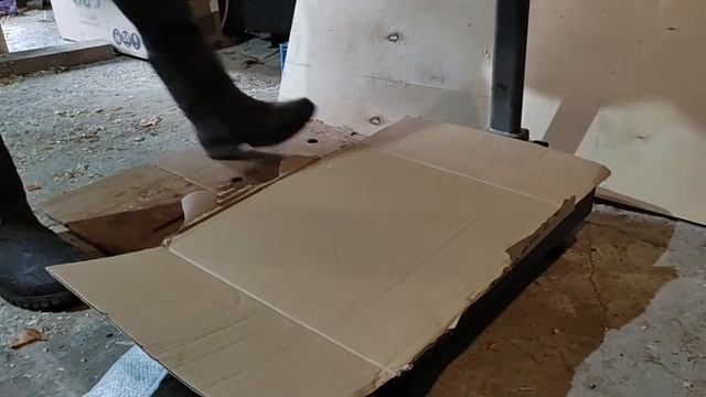 Кормил печеньем и травой Свинка вьетнамская 7 месяцев на продажу смотреть онлайн