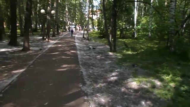 многолетние    цветы смотреть онлайн