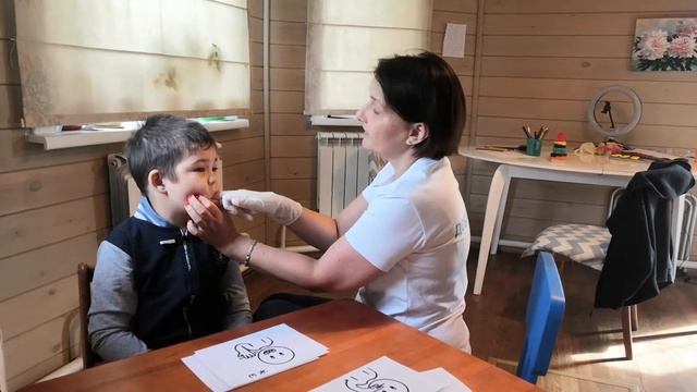 Сенсомоторная алалия. Логопед Дина Владимировна