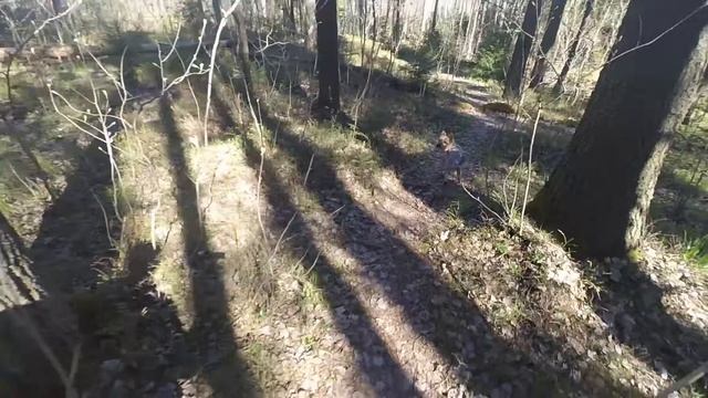 Простая прогулка с Zhiyun SMOOTH Q и Action Camera Xiaomi Yi смотреть онлайн