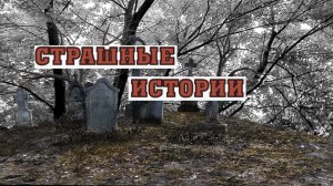 СТРАШНЫЕ ИСТОРИИ НА НОЧЬ | Бомжиха | СТРАШИЛКИ НА НОЧЬ