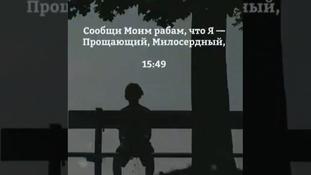 аятыкорана#аяты#коран#аллахвелик#карсивоечтение#суры#сура#оят#куръон#sura#oyat#qur'on#surah#