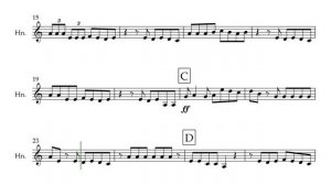 Havana Camila Cabello French Horn