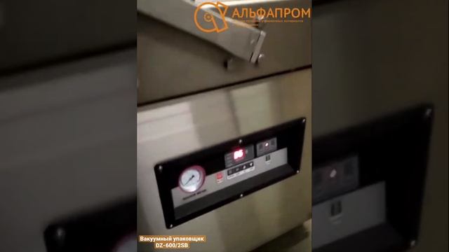 Вакуумный упаковщик DZ-600/2SB смотреть онлайн