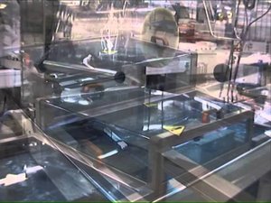 Вакуумная упаковка свинины в мягкую пленку на термоформере ULMA