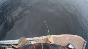 Ловля огромного окуня на яме летом)