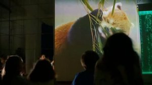 Проекционный дизайн, видеомэппинг