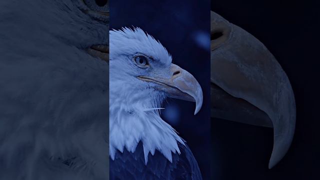 #cartoon смотреть онлайн