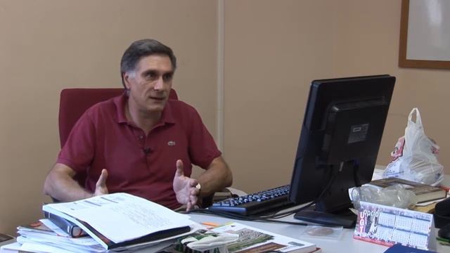 Interview with Juan-José Ibáñez in the SimulPast project смотреть онлайн