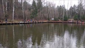 Самое время для блесны Forest PAL 3,8 в различных цветах. Поимки форели на спорт зоне. Клёвое место