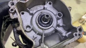 Ремонт триммера Workmaster 2500B. Маленькие неприятности.