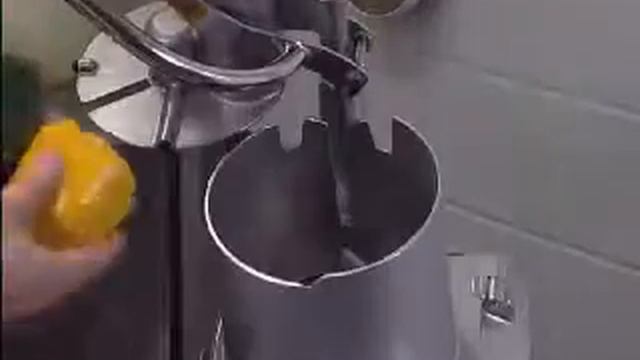 Нарезка перца ломтиками 4 мм_RG HALLDE_Pepper slicer 4 mm_ROVABO смотреть онлайн