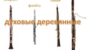 Учебная презентация "Инструменты симфонического оркестра"