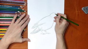 Как нарисовать ворону. Онлайн-школа рисования "Малевашки"