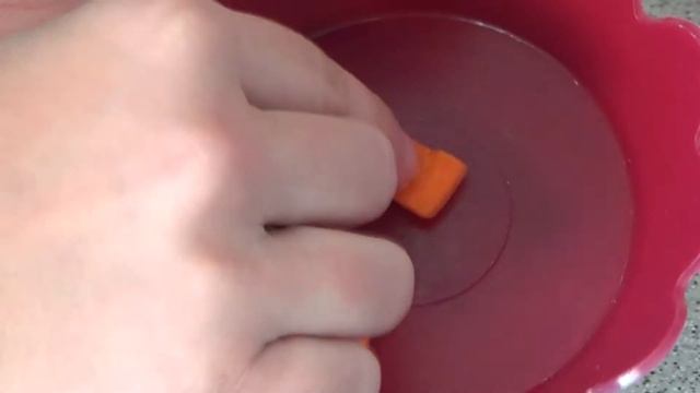 ЧЕМ КОРМИТЬ ХОМЯКА? ОВОЩИ. МОРКОВЬ