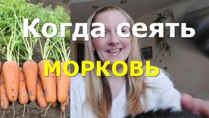 Когда сеять морковь