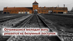 Рональд Х. Бэлсон "Исчезнувшие близнецы"