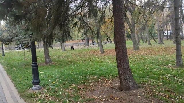 Івано-Франківськ набережна, Ивано-Франковск набережная