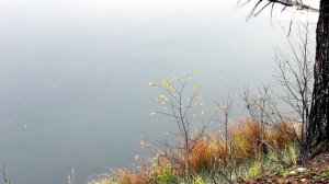 Осенние пейзажи