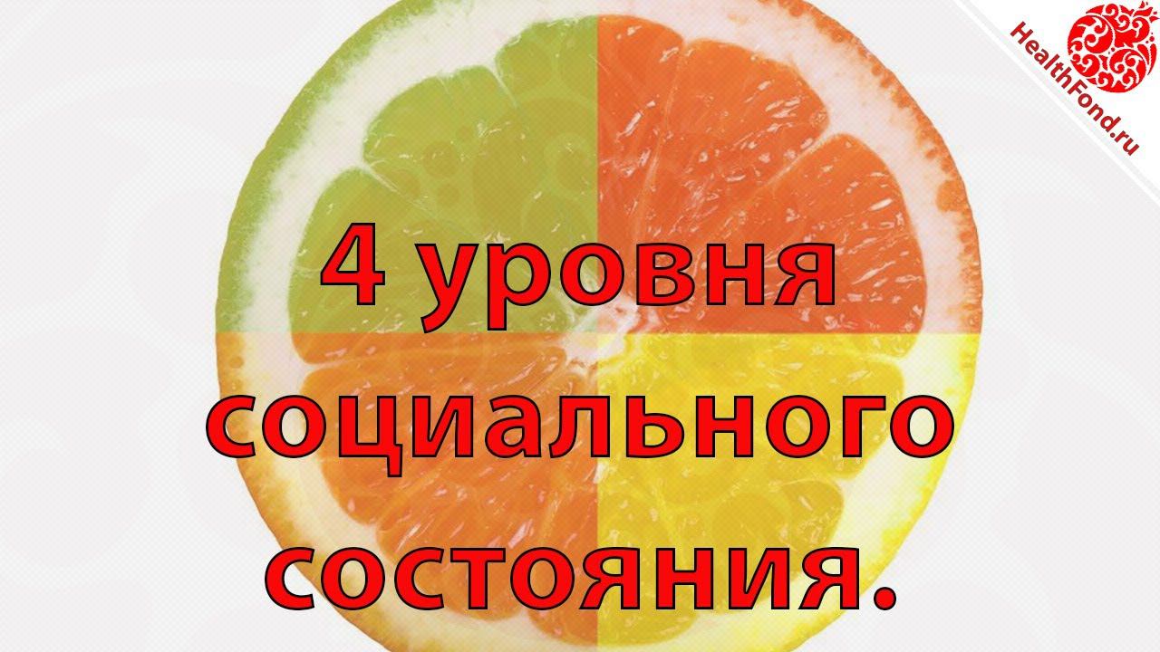 Четыре уровня социального состояния. "Технологии Личного и Социального Здоровья".