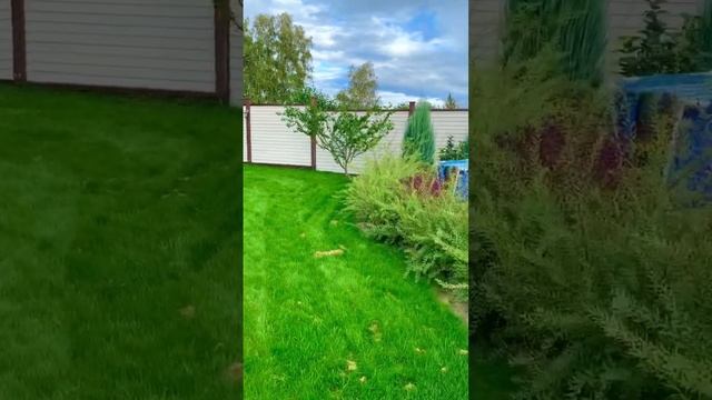 Бассейн с кострищем. Ландшафтный дизайн смотреть онлайн