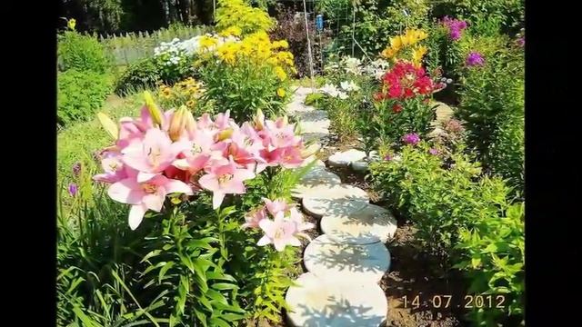 Разные варианты дорожки на даче. Аккуратные дорожки в саду украшают его