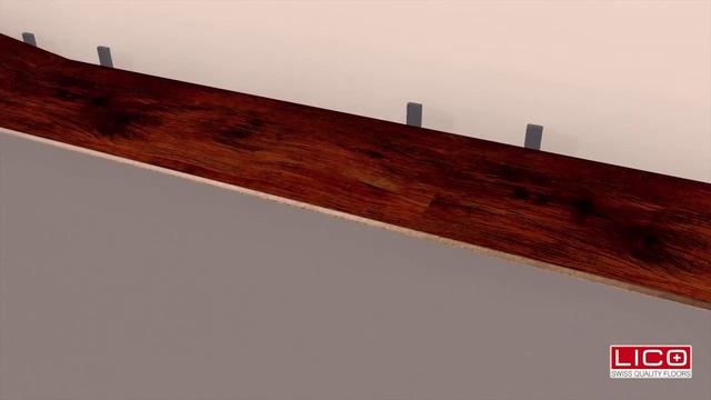 LICO HDF (3D- Tutorial) смотреть онлайн