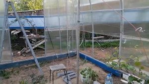 расширение теплицы - куда сажать виноград.