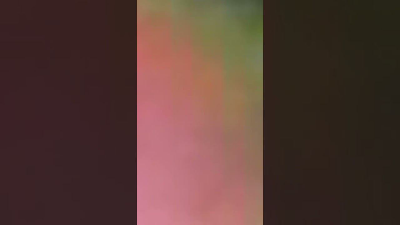 Betelgeuse 02.01.2024 21:30 msk