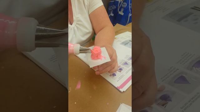 Cake decoration sugar wilton rose